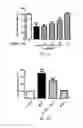Fig. 08 - Method of treating and/or preventing neurodegenerative diseases