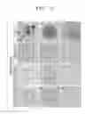 Fig. 04 - Composition including ATM inhibitor for reducing cellular senescence and use of the composition