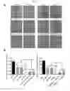 Fig. 04 - Methods and systems of treating wounds
