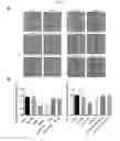 Fig. 05 - Methods and systems of treating wounds