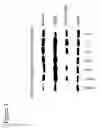 Fig. 09 - COMPOSITIONS COMPRISING A PROSTAGLANDIN FOR TREATING NEUROPSYCHIATRIC CONDITIONS