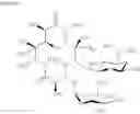 Fig. 09 - Therapy for inhibition of single-stranded RNA virus replication