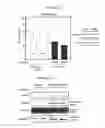 Fig. 16 - MODULATORS OF ADP-DEPENDENT GLUCOKINASE (ADPGK) AND GLYCEROL-3-PHOSPHATE DEHYDROGENASE (GPD2) FOR THERAPY