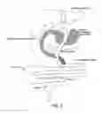 Fig. 02 - Compositions of microbiota and methods related thereto