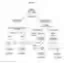 Fig. 04 - Compositions comprising selenium and use of same for the treatment and prevention of disease or conditions associated with mitochondrial dysfunction