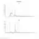 Fig. 07 - Compositions comprising selenium and use of same for the treatment and prevention of disease or conditions associated with mitochondrial dysfunction