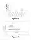 Fig. 09 - Molecular and herbal combinations for treating psoriasis