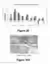 Fig. 19 - Molecular and herbal combinations for treating psoriasis