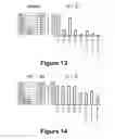 Fig. 08 - Molecular and herbal combinations for treating psoriasis