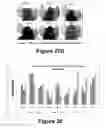 Fig. 18 - Molecular and herbal combinations for treating psoriasis