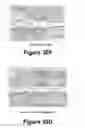 Fig. 22 - Molecular and herbal combinations for treating psoriasis