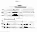 Fig. 07 - BETA-CASEIN A2 AND PREVENTION OF INFLAMMATION OF THE BOWEL