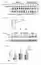 Fig. 06 - Compositions and methods for treatment of retinal degenerative diseases