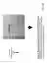 Fig. 07 - Compositions and methods comprising glycyl-tRNA synthetases having non-canonical biological activities