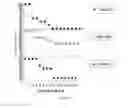 Fig. 12 - Targets and compositions for use in decontamination, immunoprophylaxis, and post-exposure therapy against anthrax