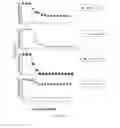 Fig. 13 - Targets and compositions for use in decontamination, immunoprophylaxis, and post-exposure therapy against anthrax
