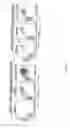 Fig. 06 - Recombinant HCMV and RHCMV vectors and uses thereof
