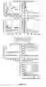 Fig. 07 - Recombinant HCMV and RHCMV vectors and uses thereof