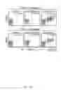Fig. 12 - Recombinant HCMV and RHCMV vectors and uses thereof