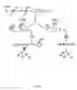 Fig. 18 - Recombinant HCMV and RHCMV vectors and uses thereof