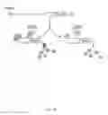 Fig. 20 - Recombinant HCMV and RHCMV vectors and uses thereof