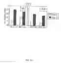 Fig. 26 - Recombinant HCMV and RHCMV vectors and uses thereof