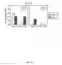 Fig. 27 - Recombinant HCMV and RHCMV vectors and uses thereof