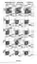 Fig. 31 - Recombinant HCMV and RHCMV vectors and uses thereof