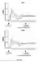 Fig. 40 - Recombinant HCMV and RHCMV vectors and uses thereof