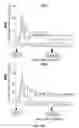 Fig. 41 - Recombinant HCMV and RHCMV vectors and uses thereof