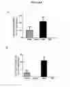 Fig. 09 - DNA motif compounds and methods for inducing specific antibodies and cellular immunity