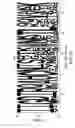 Fig. 12 - DNA motif compounds and methods for inducing specific antibodies and cellular immunity