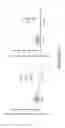Fig. 24 - Nucleic acid molecule encoding hepatitis B virus core protein and surface antigen protein and vaccine comprising the same