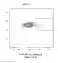 Fig. 32 - Nucleic acid molecule encoding hepatitis B virus core protein and surface antigen protein and vaccine comprising the same