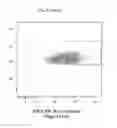 Fig. 33 - Nucleic acid molecule encoding hepatitis B virus core protein and surface antigen protein and vaccine comprising the same