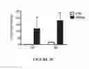Fig. 37 - Nucleic acid molecule encoding hepatitis B virus core protein and surface antigen protein and vaccine comprising the same