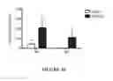 Fig. 46 - Nucleic acid molecule encoding hepatitis B virus core protein and surface antigen protein and vaccine comprising the same