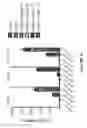 Fig. 55 - Nucleic acid molecule encoding hepatitis B virus core protein and surface antigen protein and vaccine comprising the same