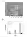 Fig. 08 - Recombinantly produced allergens