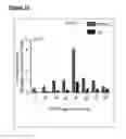 Fig. 29 - BACTERIOPHAGE-POLYMER HYBRID