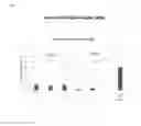 Fig. 13 - Compositions and methods for the treatment of immunodeficiency