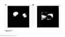 Fig. 16 - Derivatized hyperbranched polyglycerols