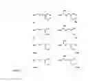 Fig. 34 - Derivatized hyperbranched polyglycerols