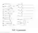 Fig. 03 - Amine-containing lipidoids and uses thereof