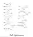Fig. 09 - Amine-containing lipidoids and uses thereof
