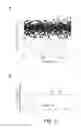 Fig. 13 - Amine-containing lipidoids and uses thereof