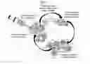 Fig. 02 - COMPOSITON BASED ON BIOCOMPATIBLE ANIONIC POLYMER FOR DRUG DELIVERY AND PREPARING METHOD THEREOF