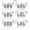 Fig. 05 - COMPOSITON BASED ON BIOCOMPATIBLE ANIONIC POLYMER FOR DRUG DELIVERY AND PREPARING METHOD THEREOF