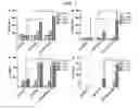 Fig. 07 - COMPOSITON BASED ON BIOCOMPATIBLE ANIONIC POLYMER FOR DRUG DELIVERY AND PREPARING METHOD THEREOF