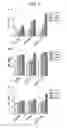 Fig. 08 - COMPOSITON BASED ON BIOCOMPATIBLE ANIONIC POLYMER FOR DRUG DELIVERY AND PREPARING METHOD THEREOF